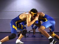 Chamblee - Wrestlers