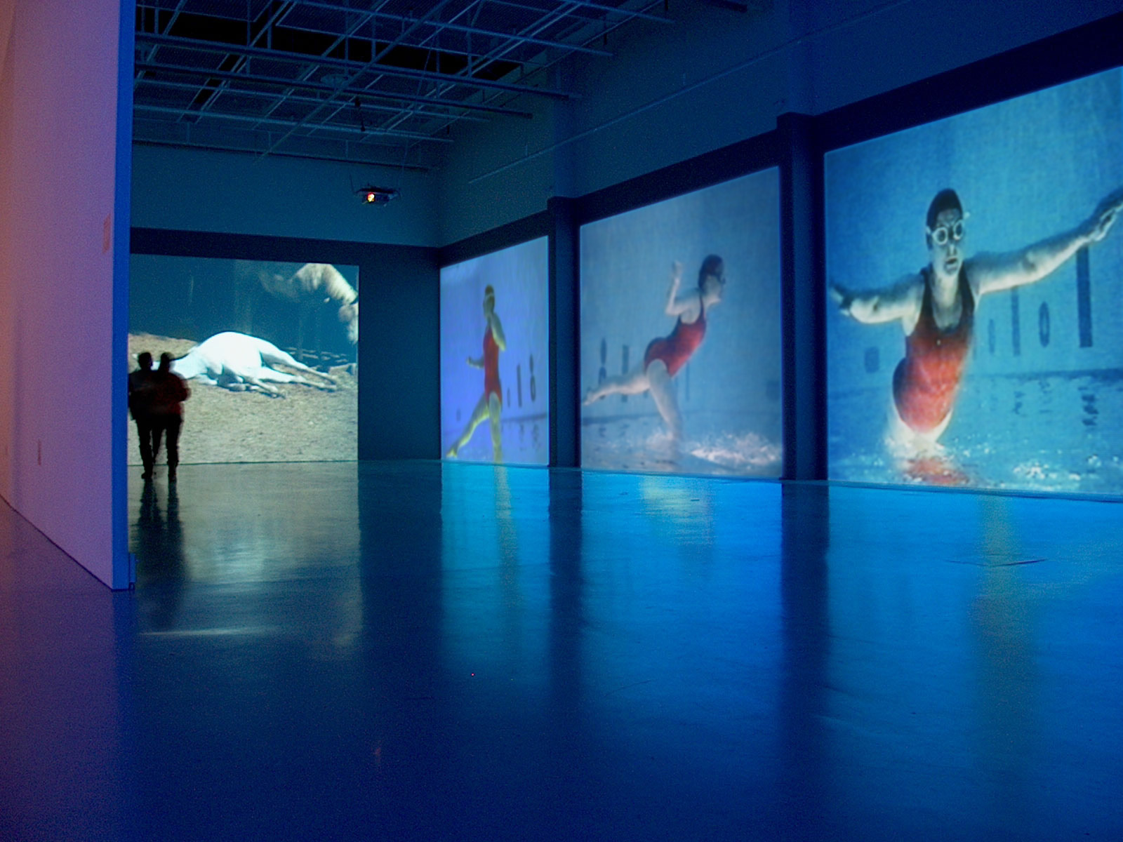 Janet Biggs Video Installation Flight, Vantaa Art Museum, Finland