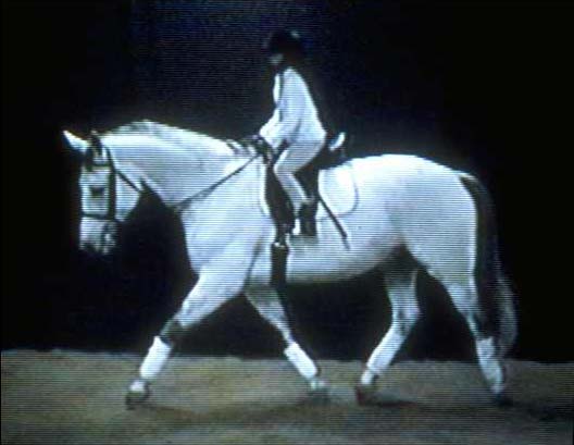 Image of Amanda on Diplomat